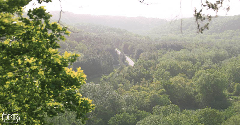 Explore northeast Iowa and Yellow River State Forest this fall before temperatures drop and schedules get hectic | Iowa DNR